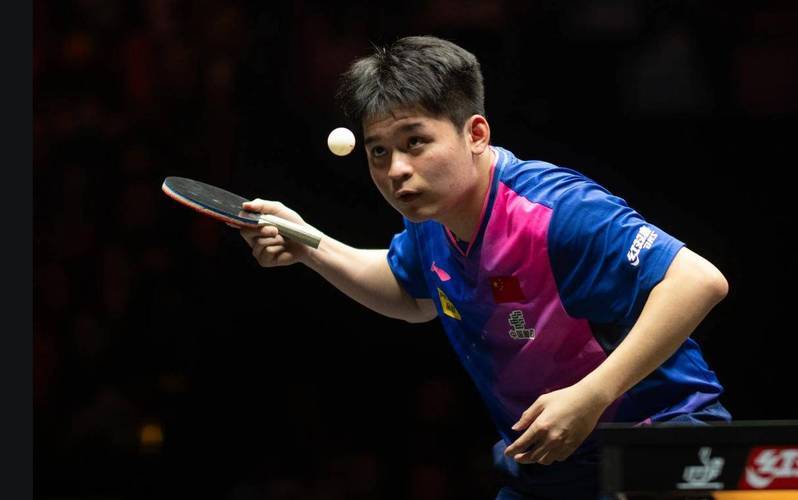 日本队绝杀瑞典队,王皓点燃赛场 日本队绝杀瑞典队,王皓点燃赛场