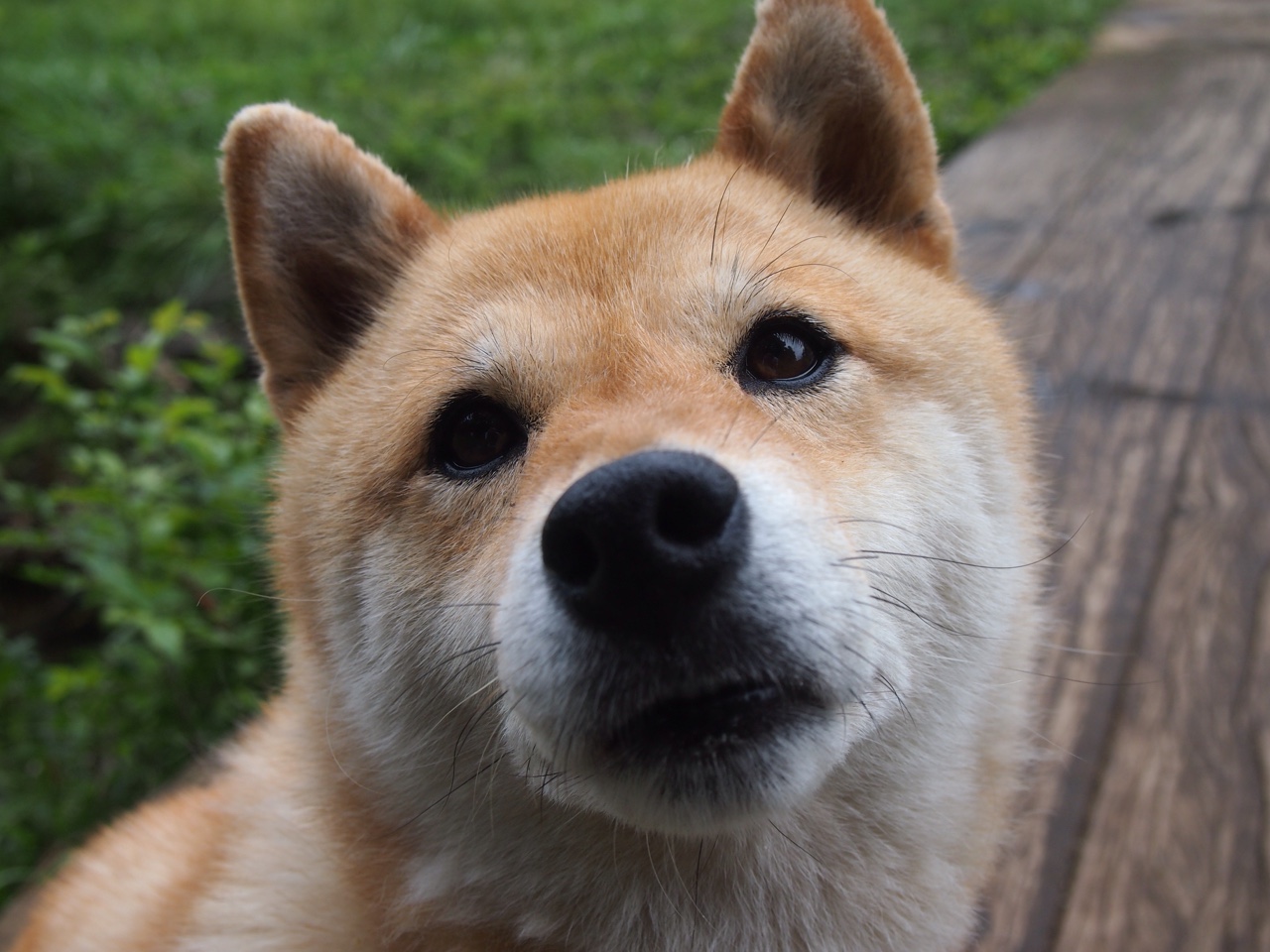 暗夜王冠,美加墨世界杯之夜与本泽马的终极答案