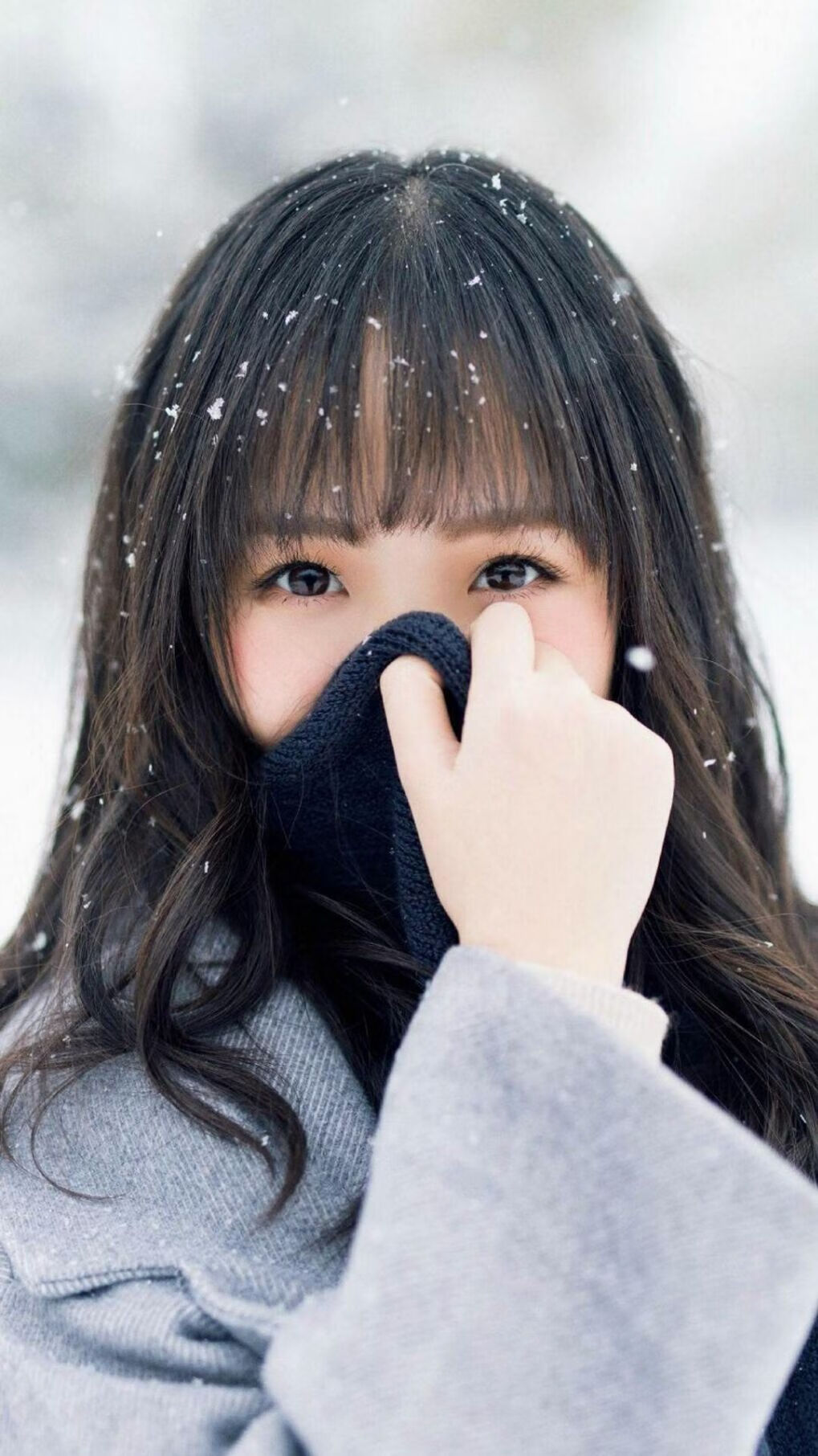 双城记，快船强势破局，字母哥聚焦证明