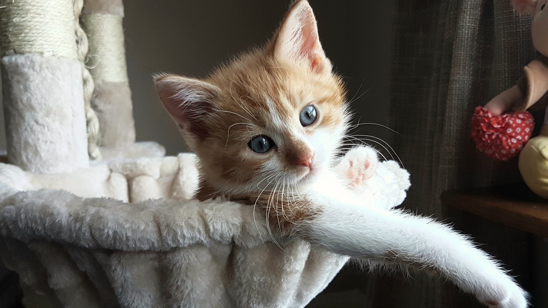 当东方巨龙遇见布鲁克林海啸，詹姆斯末节超神一波流，篮网热身赛险撕裂上海防线