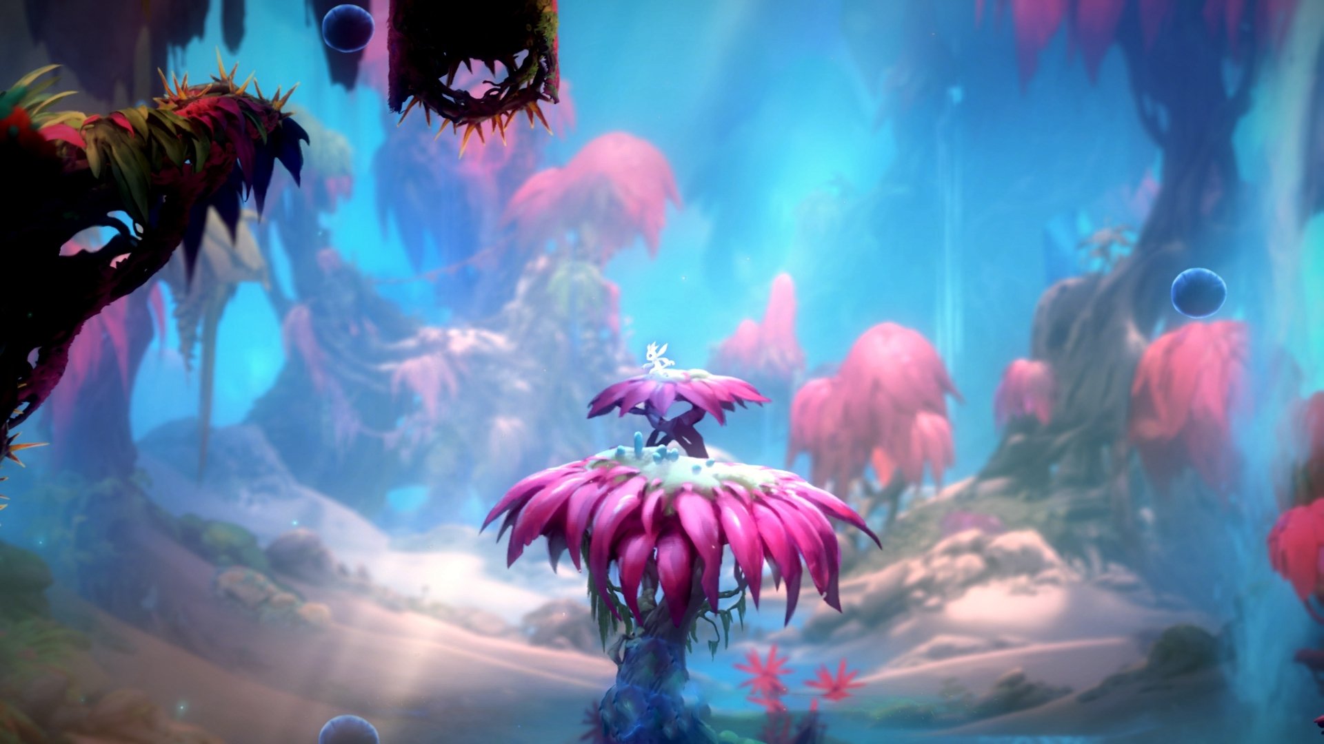 巴林沙漠与凤凰城午夜，当两种极速同时点燃烈焰与爆发