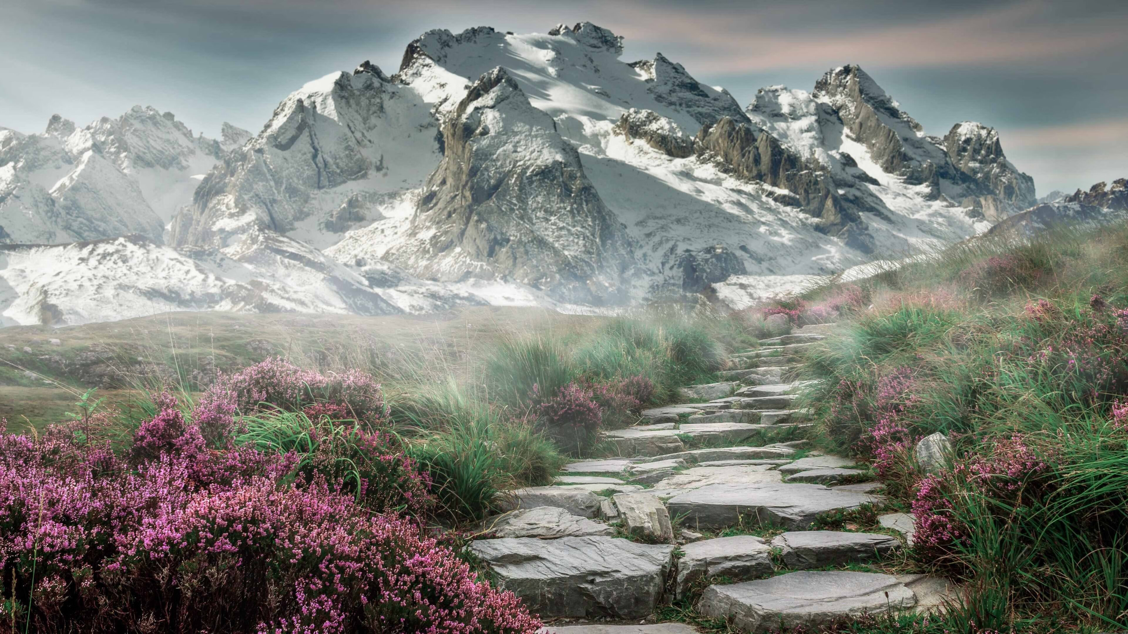 黑金之血,不灭神话,詹姆斯关键战不手软