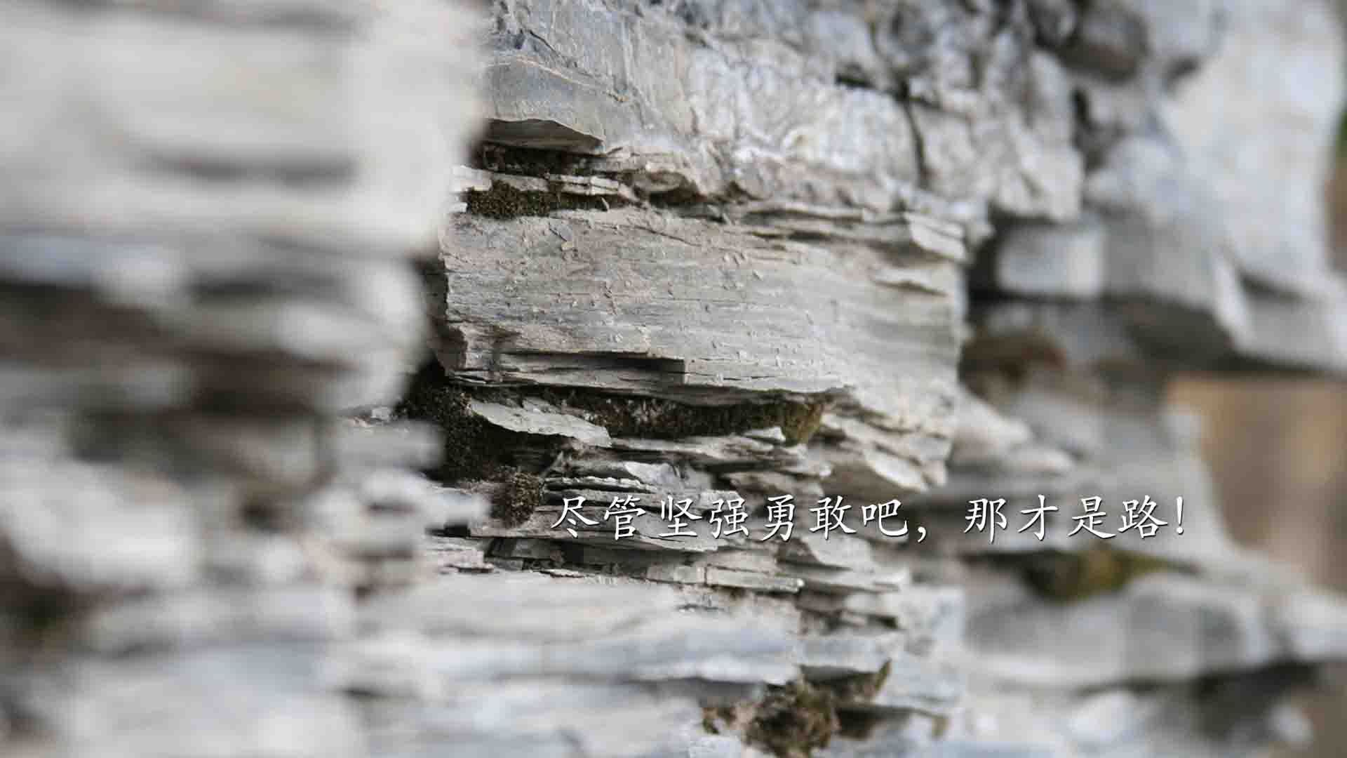 唯一的悖论，当哈兰德成为太极虎的獠牙，与比利时红魔的宿命对决—2026世界杯H组，一场改写足球逻辑的史诗