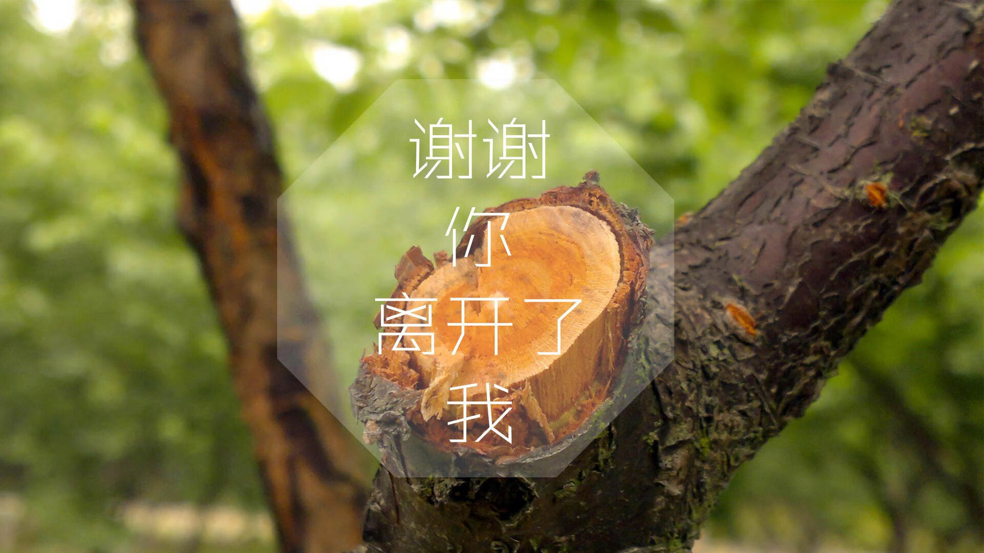 节奏的独裁者，当哈基米用双足为2026世界杯揭幕战挥下第一道刀痕