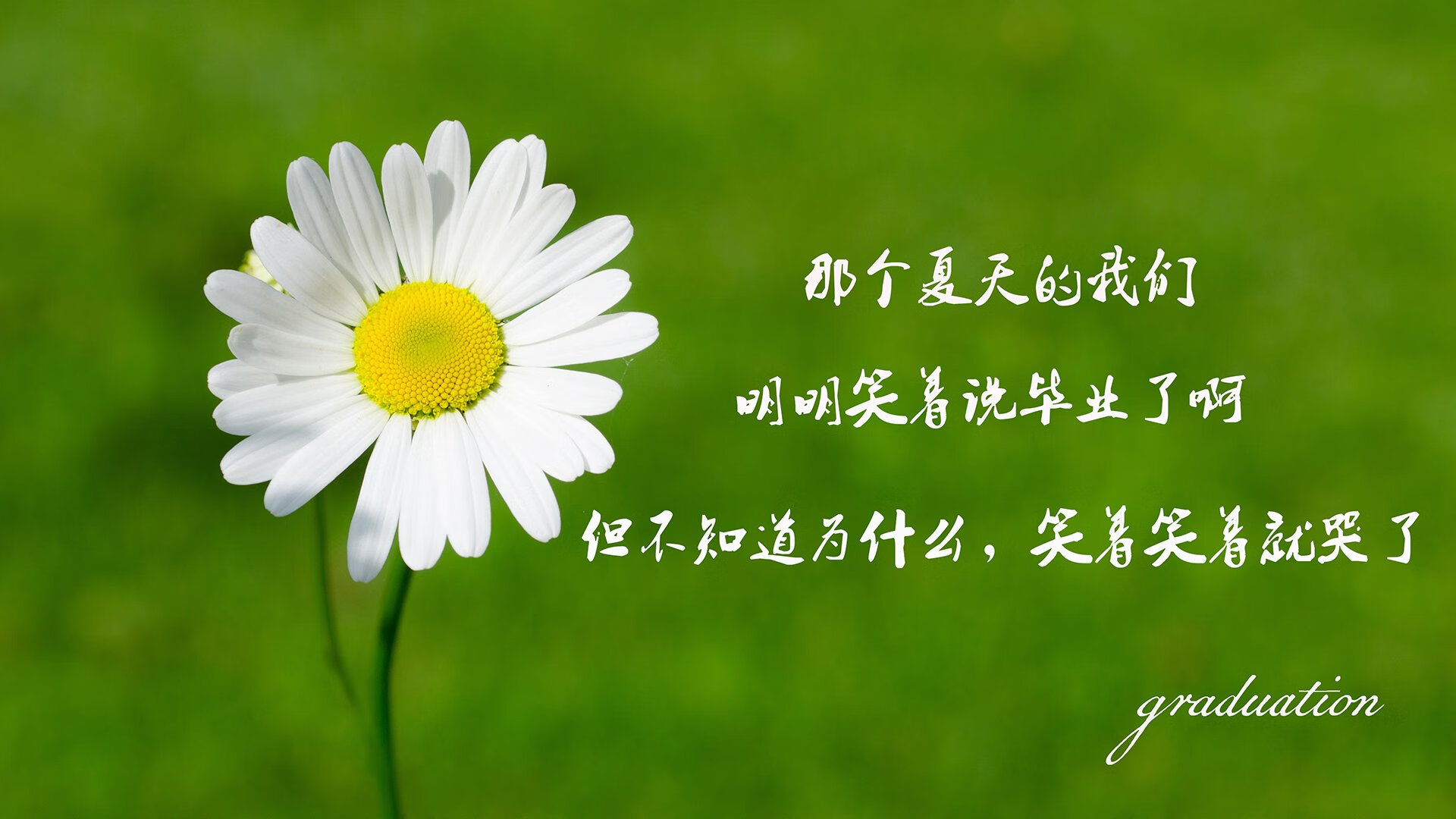 萨卡独舞，2026世界杯C组，澳洲铁骑与德国战车之间的紧凑美学
